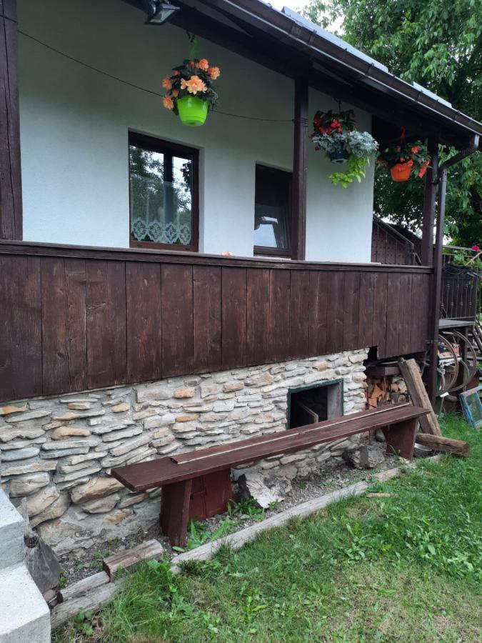Ciprian PorumbescuCasa Bunicilor别墅 外观 照片